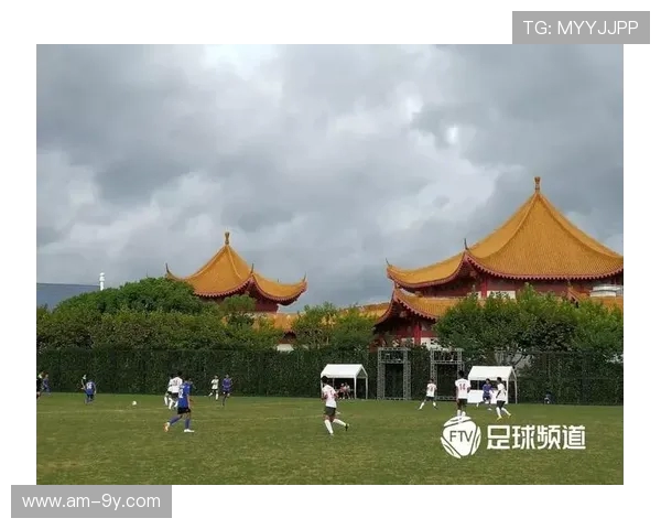 围绕仁化县足球训练体系构建青少年竞技水平提升路径研究实践策略 围绕仁化县足球训练体系构建青少年竞技水平提升路径研究实践策略