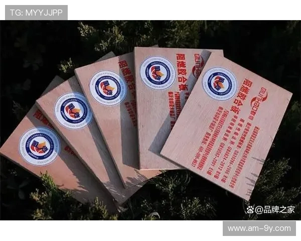 深入解析足球场违例含义及常见判罚规则与裁判执行要点全方位指南